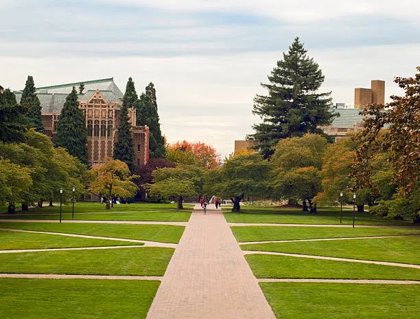 Image of NoMa University Quad with trees in the background