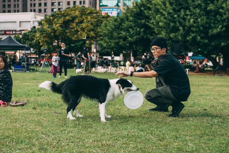 Student squatting down playing frisbee with a dog on the quad