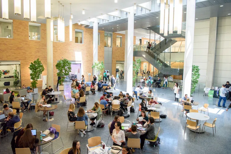 Common area with groups of students around round tables throughout the space. People are studying, chatting with one another and mingling around. 