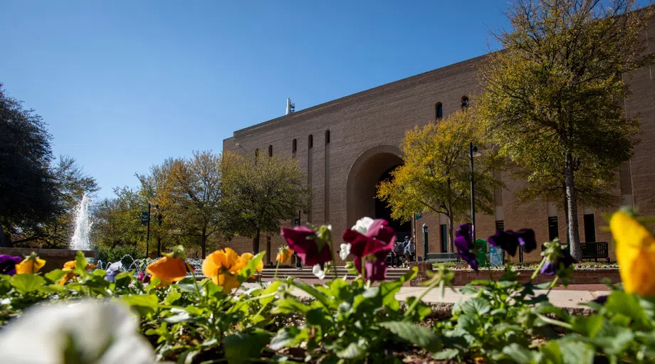 Exterior entrance to Willis Library. Blooming yellow and purple flowers in the foreground. 