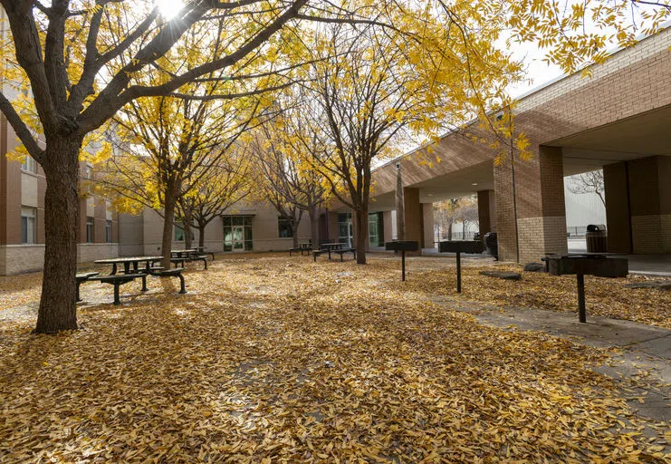 A photo of the exterior of Victory Hall on a fall day with the courtyard covered in leaves.  