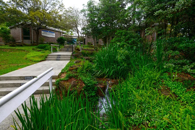 The exterior of building 85 in the College of Education with lush landscaping.