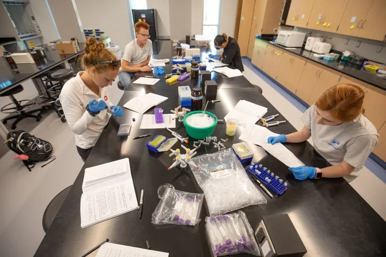 Four students working together in a science lab.