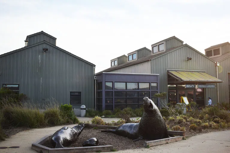 Seymour Marine Discovery Center