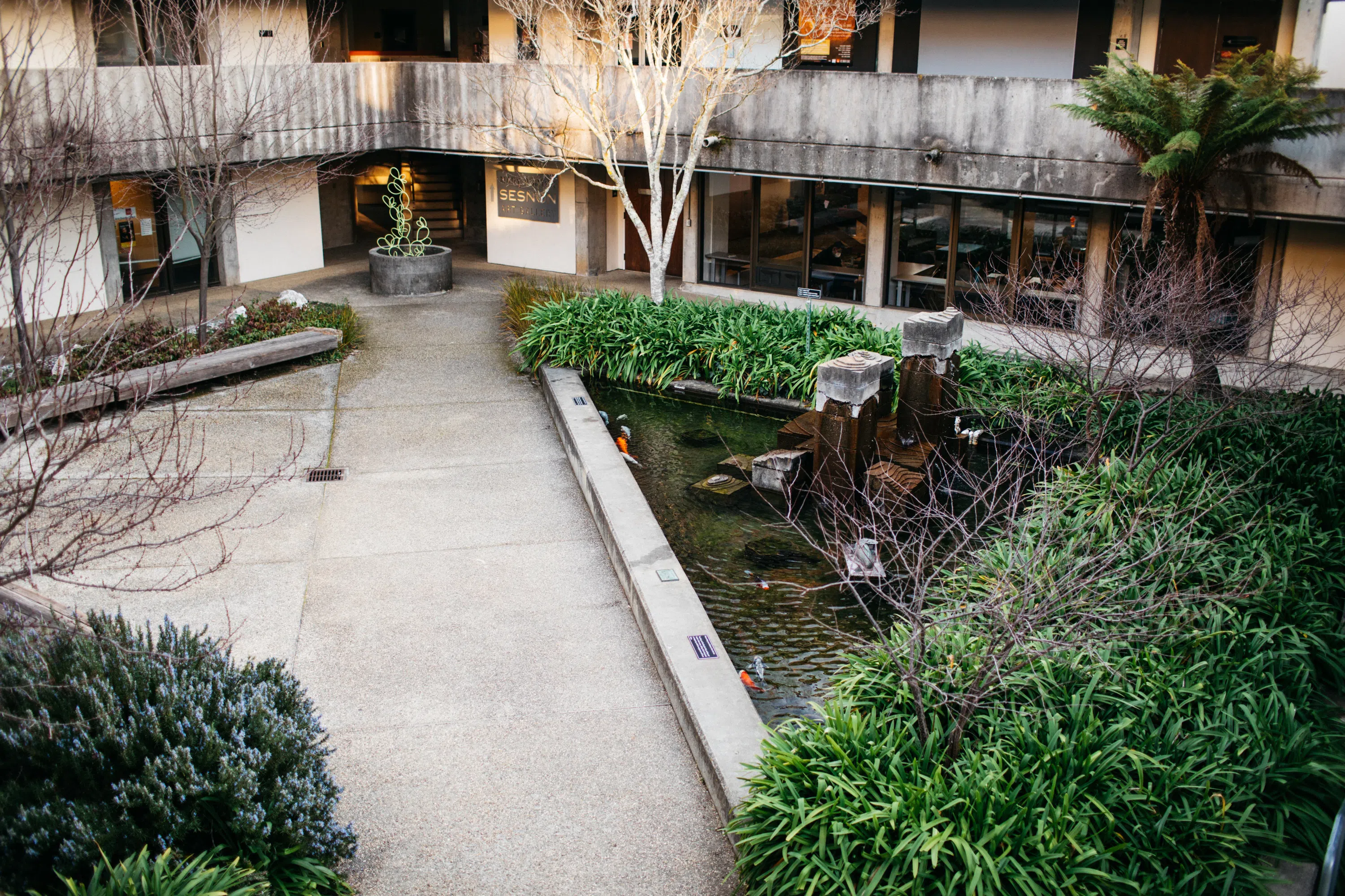 Koi Pond in a quad at Porter