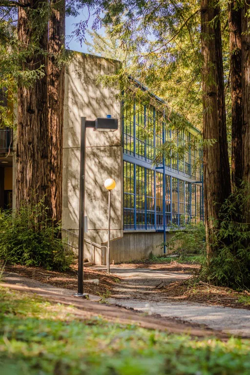 building exterior and some redwood trees