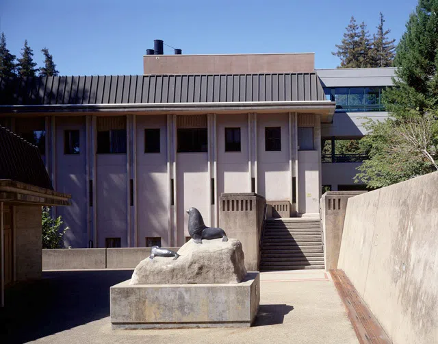 Thimann courtyard