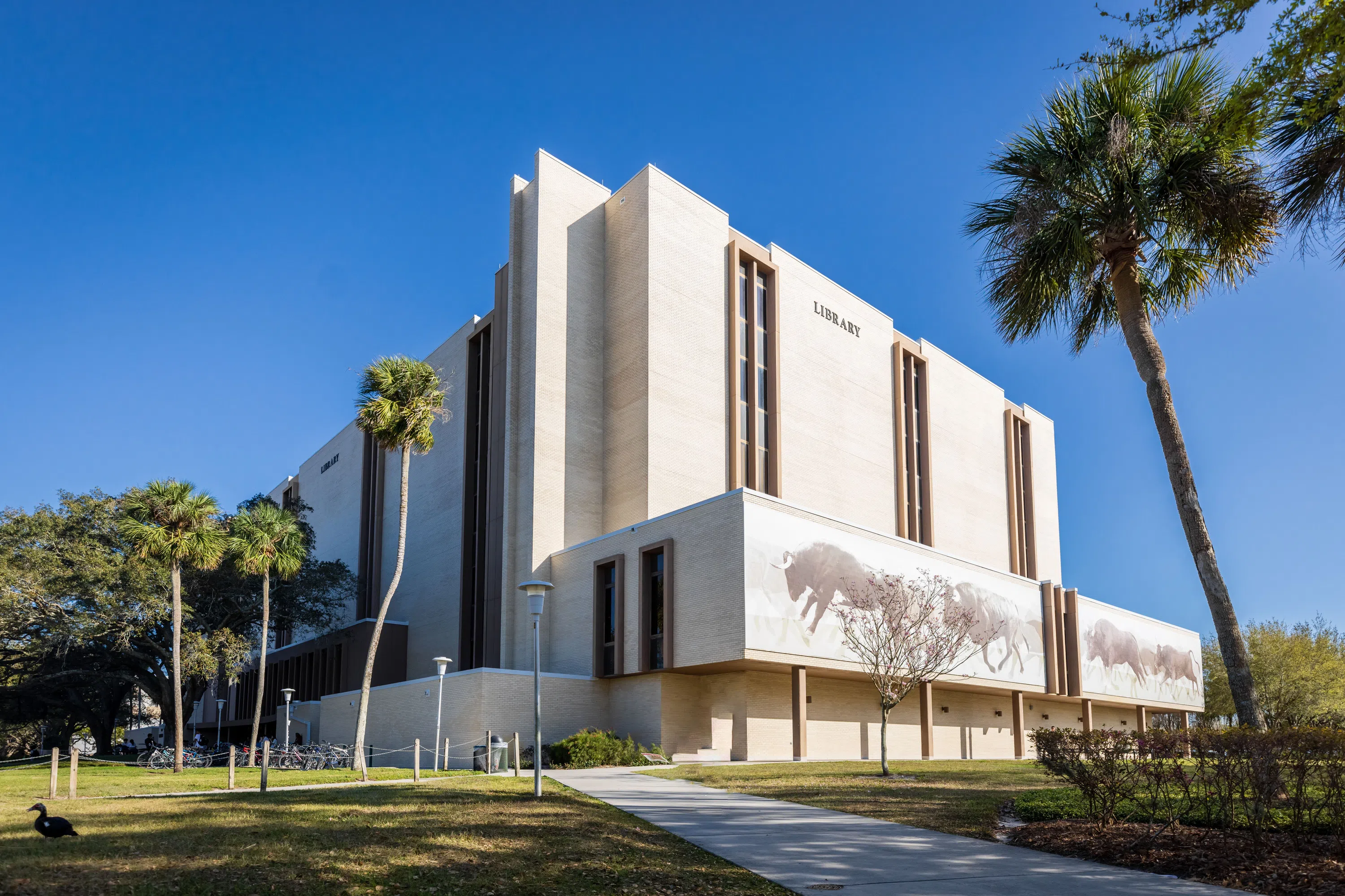 View of the outside of the USF Library 