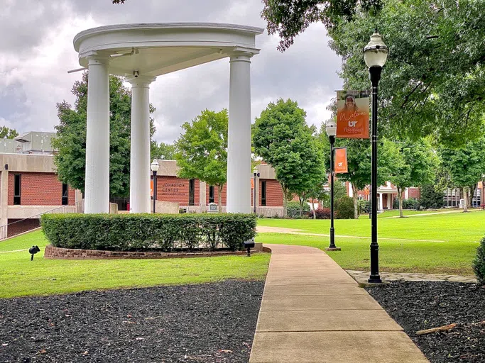 Columns and trees at Campus Green 