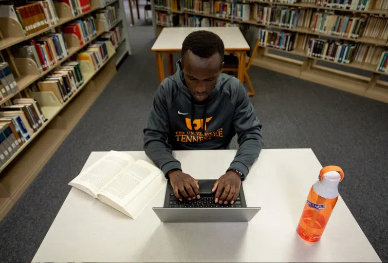 Student typing on the computer in the library. 