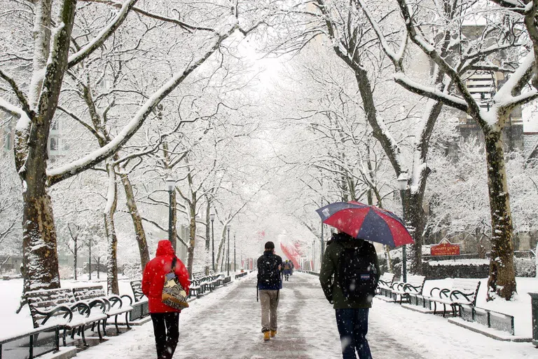 Locust Walk, snow