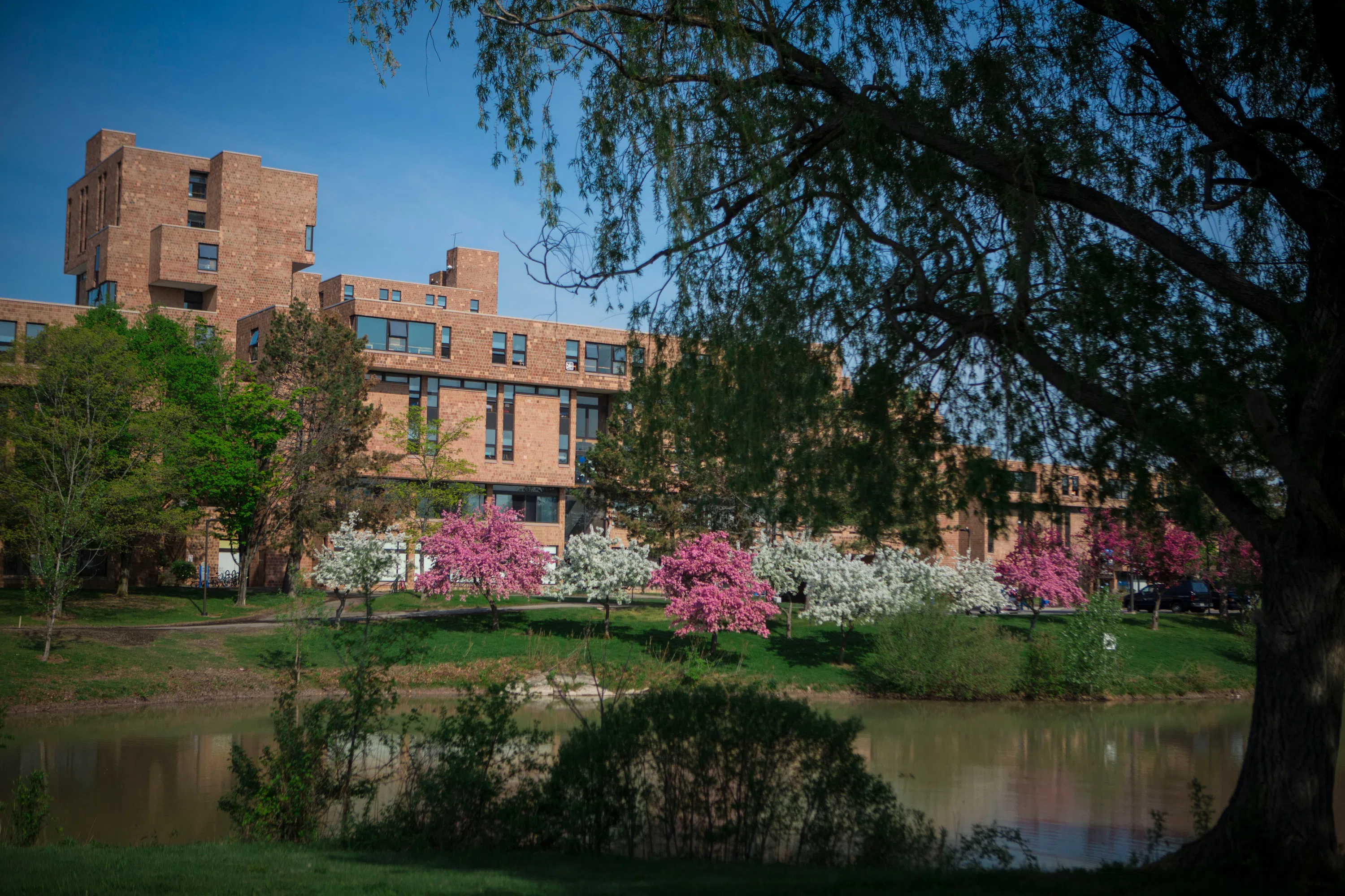 Exterior photo of Ellicott Complex at UB.