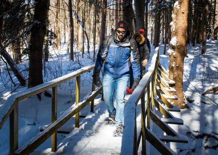 Students in Outdoor Adventure Club at Dresser Creek in the Erie County Forest