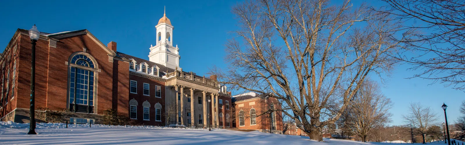 The Wilbur Cross Building is home to CrossRoads Café as well as numerous student service offices, including the Registrar, the Center for Students with Disabilities, the Center for Career Readiness and Life Skills, and Financial Aid.