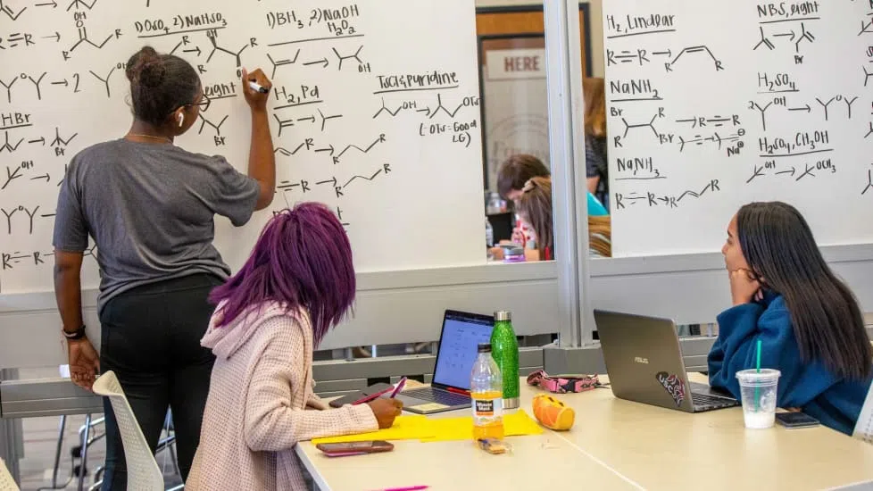 Students study organic chemistry in a reserved room.