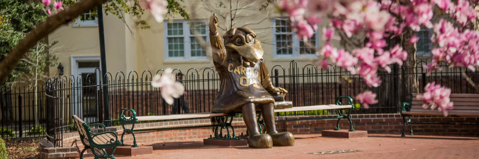 View of the Cocky Statue during the day