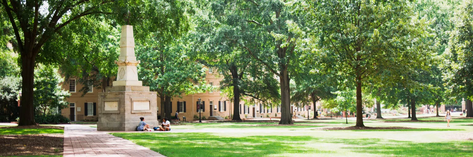 View of the Horseshoe during the day