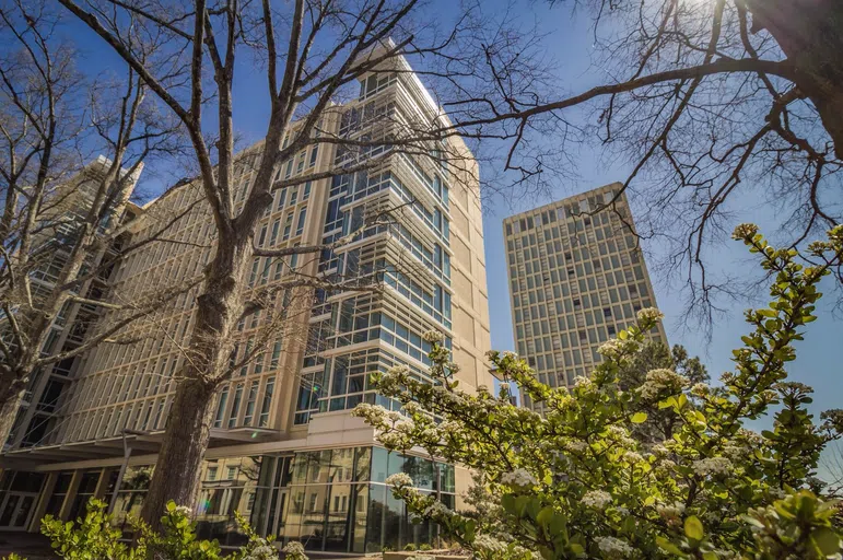 View of Patterson Hall and South Tower during the day