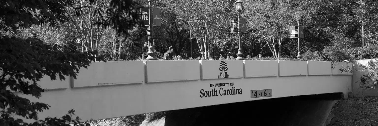 Black and white view of the Pickens Street Bridge