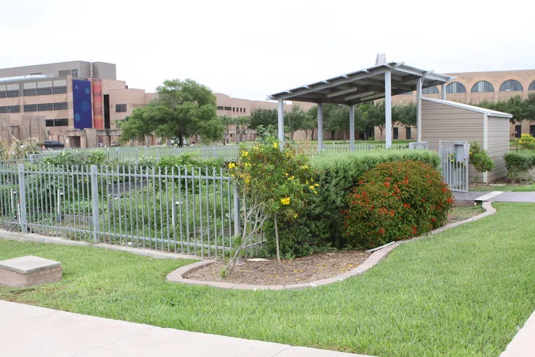 Agroecology Research Community Garden