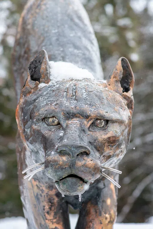 Bronze Catamount statue with snow and ice