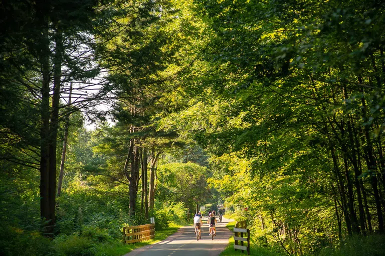 Two bikers on the Burlington bike path.