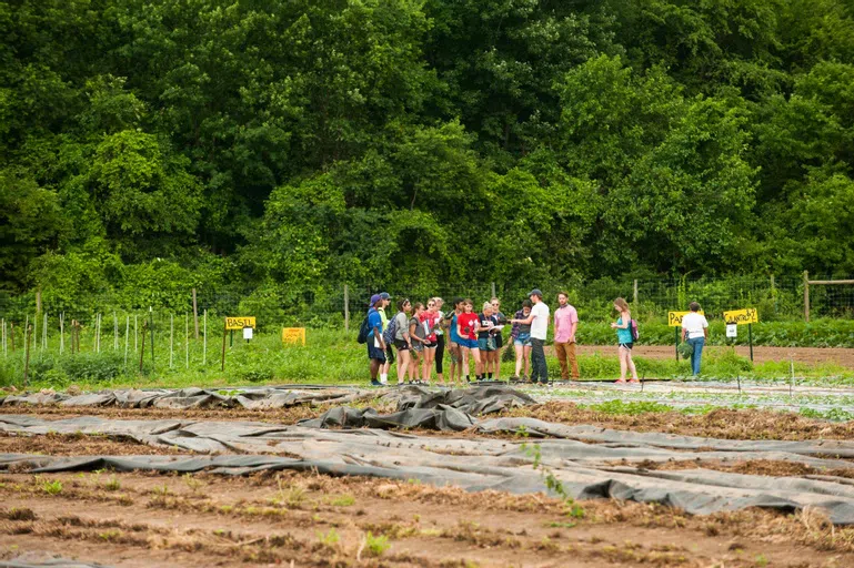 Students working on the Ecological Preserve