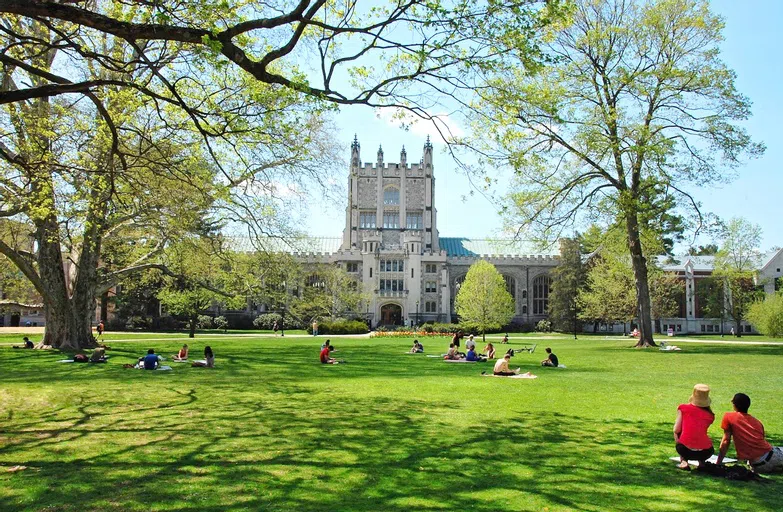 Green lawn in front of a large library