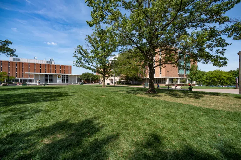 The Quad grass space and surrounding buildings with students walking outside.