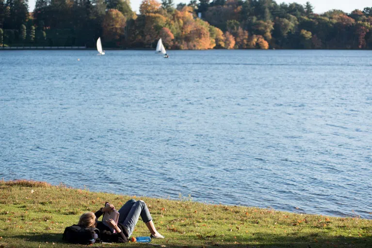 Student reading a book out on Green Beach