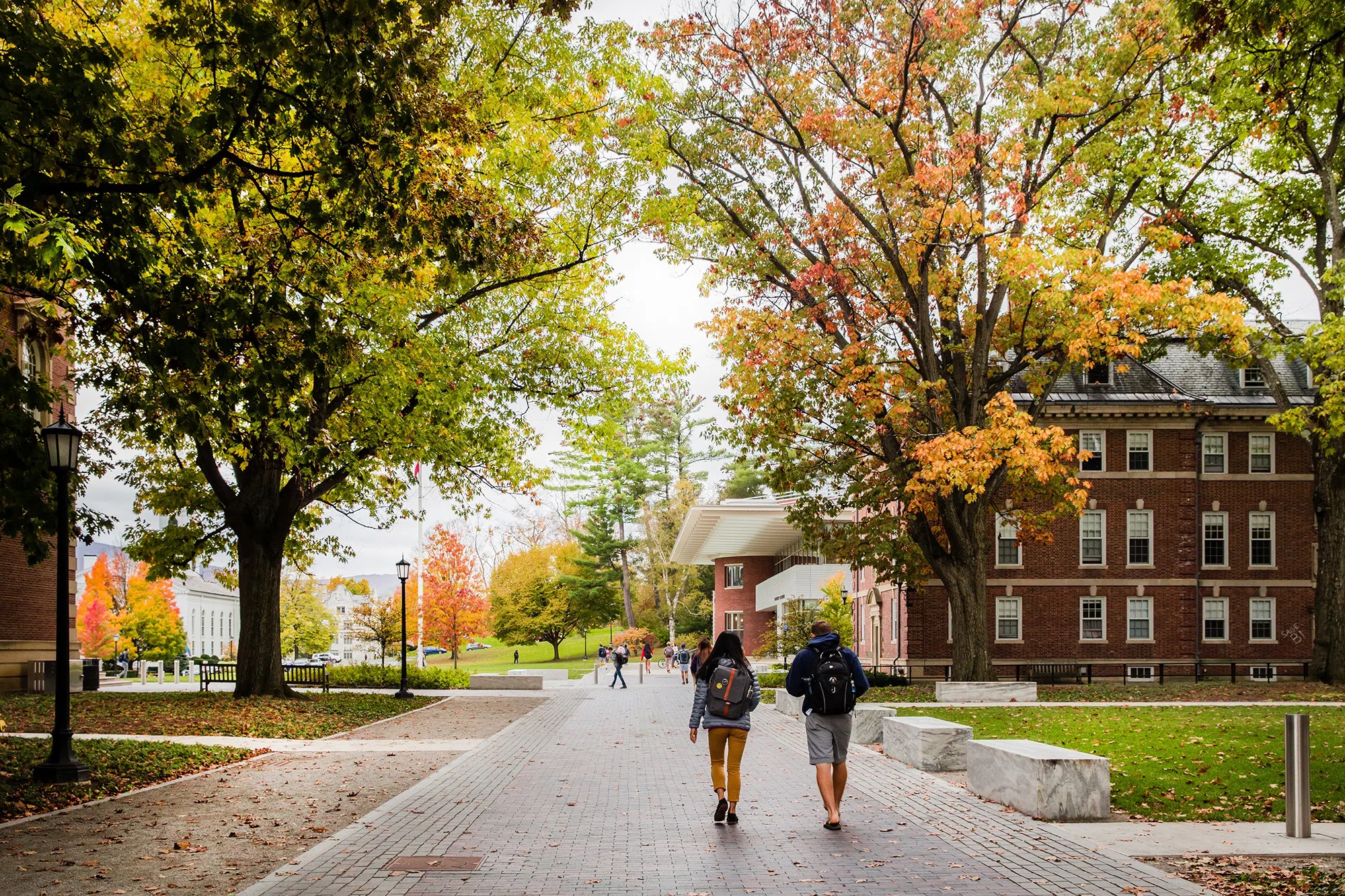 Students walking on the stone path by Frosh Quad surrounded by fall trees