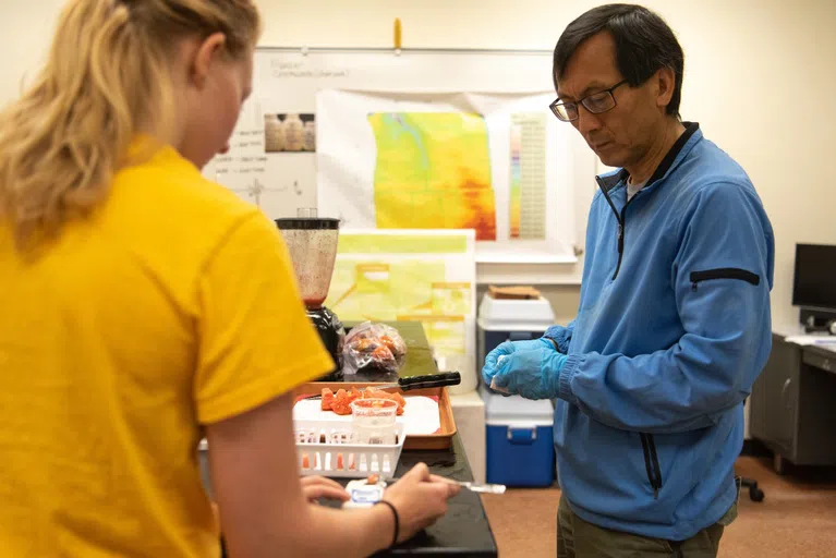 Ever wondered how to build a new tomato? Ag and Biosystems Engineering students take classes in food processing and engineering, creating more nutritious and resilient crops.