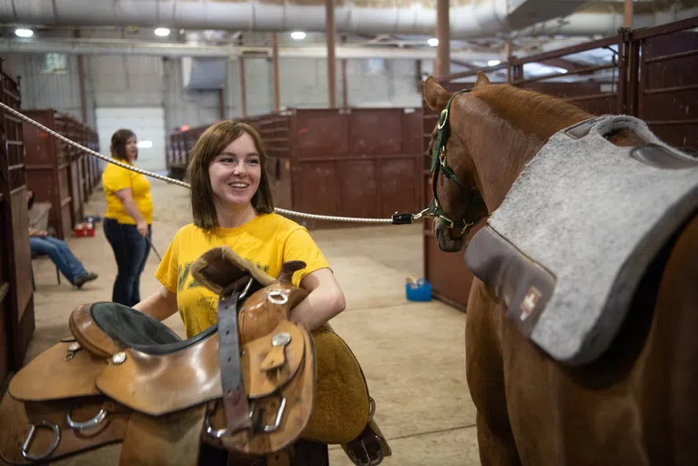 Students have the option to major or minor in equine sciences. These students get hands-on experience working with horses in a variety of contexts.